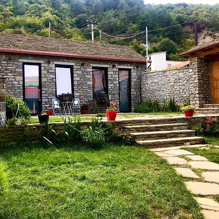 Gogo Moustache Guest House Përmet Kültér fotó