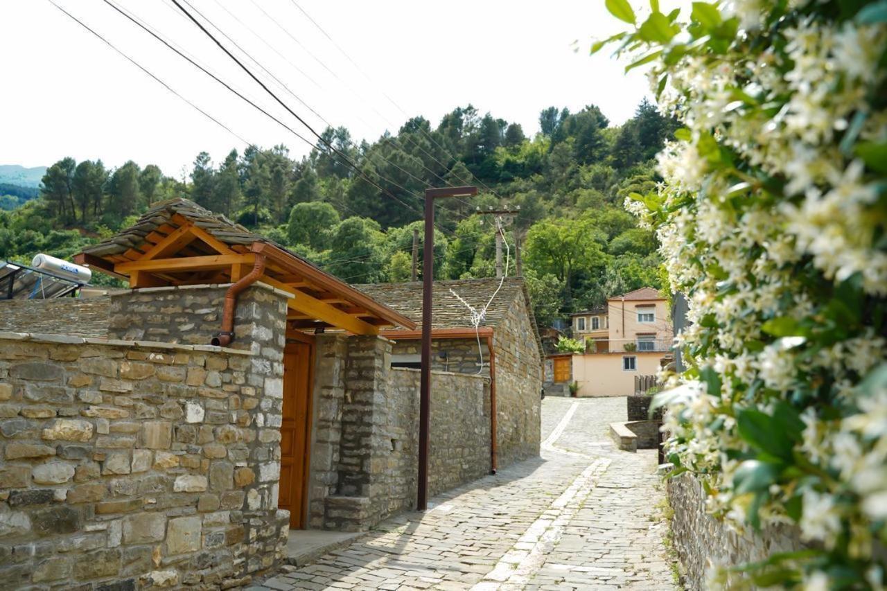 Gogo Moustache Guest House Përmet Kültér fotó